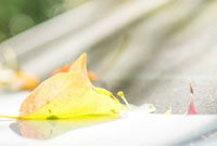 以迎接后续 以迎接后续